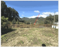  2024Ÿ653   빮 ɸ 162-36      ,繫ǰ