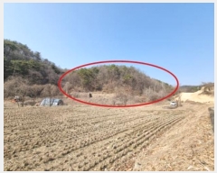  2024Ÿ1274  ֽ õ õ 19-6      (Ӿ)