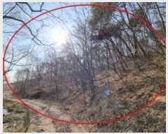  2024Ÿ1274  ֽ õ õ 19-6      (Ӿ)