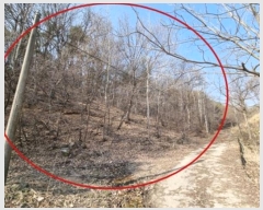  2024Ÿ1274  ֽ õ õ 19-6      (Ӿ)