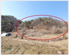  2024Ÿ1274  ֽ õ õ 19-6      (Ӿ)