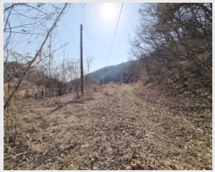  2024Ÿ1274  ֽ õ õ 19-6      (Ӿ)