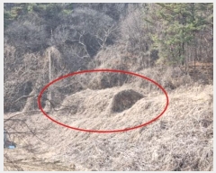  2024Ÿ1274  ֽ õ õ 19-6      (Ӿ)