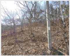  2024Ÿ1274  ֽ õ õ 19-6      (Ӿ)