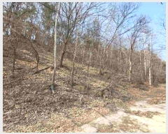  2024Ÿ1274  ֽ õ õ 19-6      (Ӿ)