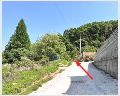  2024Ÿ2543  õ  ϸ 126-11      ()