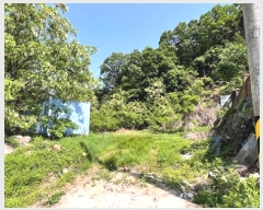  2024Ÿ2543  õ  ϸ 126-11      ()