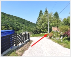  2024Ÿ2543  õ  ϸ 126-11      ()