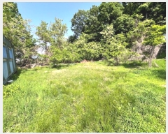  2024Ÿ2543  õ  ϸ 126-11      ()