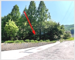  2024Ÿ2543  õ  ϸ 126-11      ()