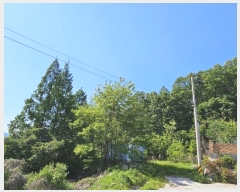  2024Ÿ2543  õ  ϸ 126-11      ()