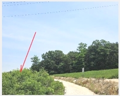  2024Ÿ��2888  �����