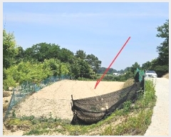  2024Ÿ��2888  �����