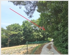  2024Ÿ��2888  �����