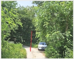  2024Ÿ��2888  �����