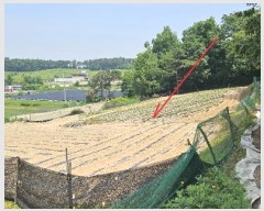  2024Ÿ��2888  �����