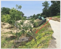  2024Ÿ��2888  �����