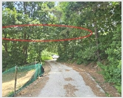  2024Ÿ��2888  �����