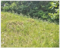  2024Ÿ��2888  �����