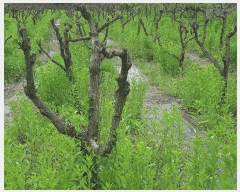  2024Ÿ��2949 ��� ���ֽ� ��Ÿ� �ϸ��� 255      ����(��1)���