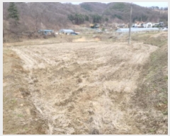  2024Ÿ��3089 ��� ���� �缭�� �ſ��� ��95      ����(�Ӿ�)���