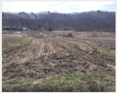  2024Ÿ��3089 ��� ���� �缭�� �ſ��� ��95      ����(�Ӿ�)���