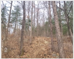  2024Ÿ��3089 ��� ���� �缭�� �ſ��� ��95      ����(�Ӿ�)���