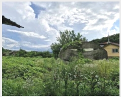  2024Ÿ3591    â븮 419-2      ()