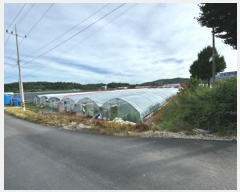  2024Ÿ��3959  ����