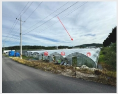  2024Ÿ��3959  ����