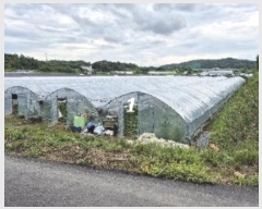  2024Ÿ��3959  ����