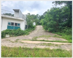  2024Ÿ4112  õ ŵи 鸮 19-8      ()