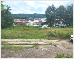  2024Ÿ4112  õ ŵи 鸮 19-8      ()