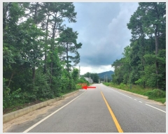  2024Ÿ4112  õ ŵи 鸮 19-8      ()