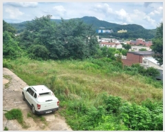  2024Ÿ4112  õ ŵи 鸮 19-8      ()