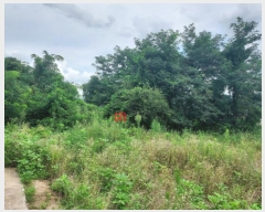  2024Ÿ4112  õ ŵи 鸮 19-8      ()