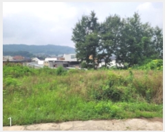  2024Ÿ4112  õ ŵи 鸮 19-8      ()