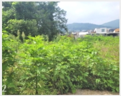  2024Ÿ4112  õ ŵи 鸮 19-8      ()