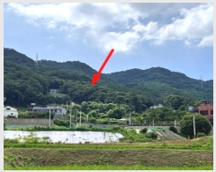  2024Ÿ��4402 ��� ���� ���ϸ� ������ 73-22      ����(�Ӿ�)���