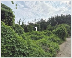  2024Ÿ��4402 ��� ���� ���ϸ� ������ 73-22      ����(�Ӿ�)���