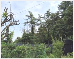  2024Ÿ��4402 ��� ���� ���ϸ� ������ 73-22      ����(�Ӿ�)���