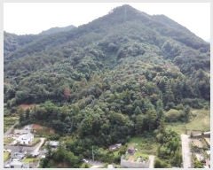  2024Ÿ��5535 ��� ���� ������ ���帮 ��51-13      ����(�Ӿ�)���