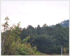  2024Ÿ��5535 ��� ���� ������ ���帮 ��51-13      ����(�Ӿ�)���