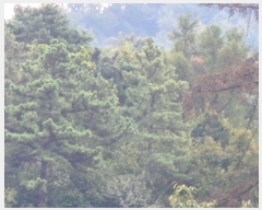  2024Ÿ��5535 ��� ���� ������ ���帮 ��51-13      ����(�Ӿ�)���