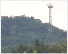  2024Ÿ��5535 ��� ���� ������ ���帮 ��51-13      ����(�Ӿ�)���