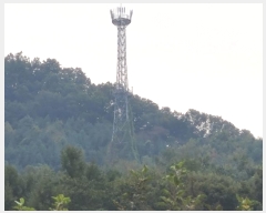  2024Ÿ��5535 ��� ���� ������ ���帮 ��51-13      ����(�Ӿ�)���