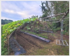  2024Ÿ��6811  ����