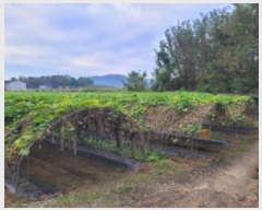  2024Ÿ��6811  ����