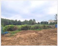  2024Ÿ��6811  ����