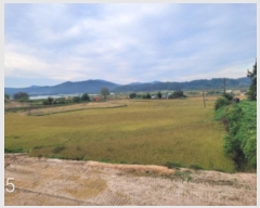  2024Ÿ��6811  ����